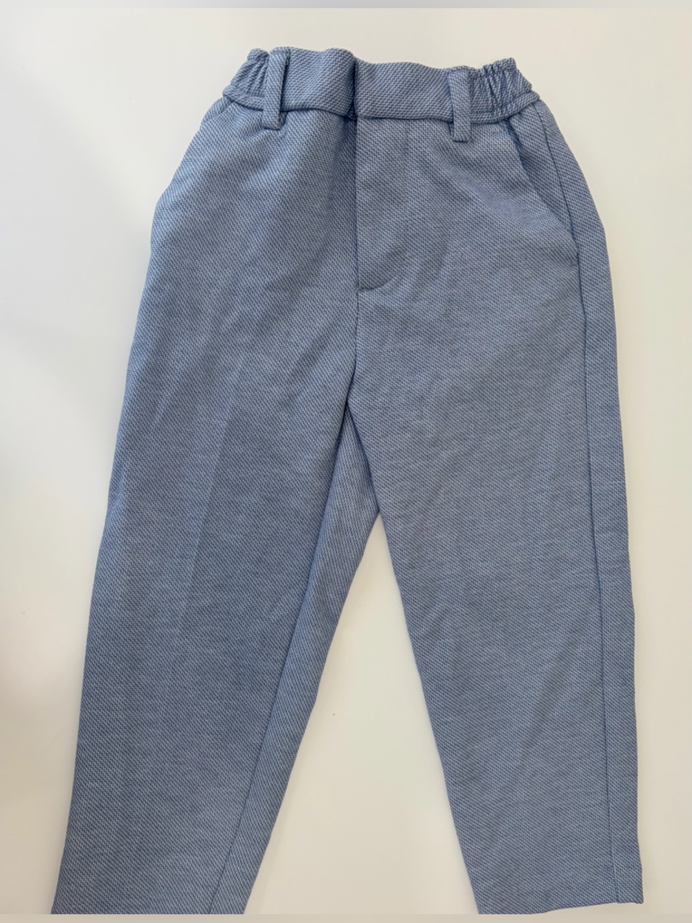 Zara Dress Pant